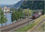 Die Vectron sind zurück: Nach ETCS Problemen (und dem Abzug der Vectron von der Simplonstrecke), sind die Loks mittlerweile wieder im Einsatz. Die 193 055 (91 80 6139 055-1 D RCM) und 193 054 ((91 80 6193 054-4 D-RCM) sind mit einem kurzen Güterzug kurz vor Villeneuve auf dem Weg in Richtung St-Maurice. 

30. Juni 2025 