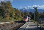 Ein SBB ETR 610 / RABe 502  Pinocchio  ist bei Burier auf dem Weg von Milano nach Genève.