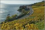 Herbst im Lavaux: Zwei Flirts auf dem Weg nach Villeneuve kurz nach Rivaz.