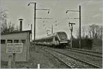 Der SBB CFF Flirt LEX RABe 522 229 passiert auf seiner Fahrt von Annecy nach Coppet bei Saint Laurent das Semaphor Ausfahrsignal der Gegenrichtung.