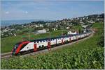 Die beiden SBB Twindexx RABe 502 212-9 und RABDe 502 010-3 (Ville de Genève) sind bei Bossière als IC 713 unterwegs.