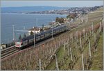 Ein RABe 511 al RE Genève - Vevey bei Cully.