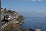 Der SBB RABe 511 116 als RE auf der Fahrt nach Genève.