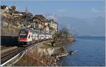 De SBB RABe 511 115 als RE nach Genève bei St-Saphorin.