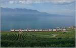 SBB RABe 511 (KISS) anstelle der sonst hier eingesetzten Domino oder FLIRT-Züge infolge des Fête des Vignerons auf der Train des Vignes Strecke bei Chexbres.