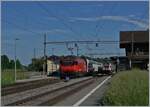 Eine SBB RE 460 mit ihrem IR 90 auf der Fahrt nach Genève und ein SBB RABe 511 aus der Gegenrichtung in Roches VD.