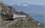 Infolge Bauarbeiten wird der SBB RABe 511 029 als IR nach St-Maurice via die  Train des Vignes  Strecke (KBS 111) umgeleitet und bietet so vor der eindrücklichen Landschaft ein herrliches Motiv, trotz Nachschuss. 

20. März 2022