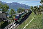 Der TILO RABe 524 301 ist kurz vor Locarno schon fast am Ziel seiner Fahrt. Das Bild bietet einen schönen Blick über den Lago Maggiore.   

26. April 2023