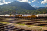 Der Kran IX der Vanomag AG ein 130t GOTTWALD GS 130.10 TS Eisenbahnkran (VTmass 80 85 95 81 702-0 /DB 97 82 54 502 19-5) mit Schutzwagen (80 85 9706 408-4 RID) und Gegengewichtswagen (VTmass 80 85 9806 412-5 Rgs), am 11 Juli 2022 abgestellt in Brig, aufgenommen aus einem fahrenden ICN.

Der Kran wurde 2001 von Gottwald in Düsseldorf unter der Fabriknummer 846 488 gebaut.

Der GS 130.06 TT ist eine Weiterentwicklung des GS 80.08 T. Folgende Verbesserungen wurden vorgenommen, die den Einsatzbereich des Kranes nochmals erweitern: Der Einsatz eines dreiteiligen Auslegers ermöglicht eine wesentliche Erweiterung des Arbeitsbereiches. Durch die kürzere Bauform des Auslegers beginnt der verfügbare Bereich horizontal bereits 3,0 m vor Puffer mit einer Tragfähigkeit von 98,0 t (freistehend 78,0 t). Damit ist er der einzige am Markt verfügbare Gleisbau-Drehkran, der diese, gerade für den Brückenbau, wesentliche Fähigkeit besitzt.

TECHNISCHE DATEN:
Spurweite: 1.435 mm
Anzahl der Achsen: 8 (in 4 Drehgestelle bzw. 2 Doppeldrehgestelle)
Unterwagenlänge über Puffer: 14.000 mm
Breite in Transportstellung: 3.100 mm
Höhe in Transportstellung: 4.250 mm
Drehzapfenabstand: 9.000 mm
Laufkreisdurchmesser der Räder: 730 mm (neu)
Gesamtgewicht  in Transportstellung:116 t (Gegengewicht abgelegt)
Größter Achsdruck in Transportstellung: 14,5 t
Schwenkwinkel des Oberwagens: 30° 
Max. hintere seitlich Ausladung: 2.000 mm
Maximale Ausladung vor Puffer : 18 m
Kleinster befahrbarer Bogenradius: 90 m
Höchstgeschwindigkeit: 25 km/h (eigen) / 100 km/h (geschleppt)

Die Überhöhungsausgleich-Einrichtung stellt den Kran immer waagerecht. Diese neuartige elektro-hydraulische Steuerung arbeitet in Überhöhungen bis zu 180 mm. Somit entfällt die Reduzierung der frei stehenden Tragfähigkeiten.

