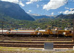 Der Kran IX der Vanomag AG ein 130t GOTTWALD GS 130.10 TS Eisenbahnkran (VTmass 80 85 95 81 702-0 /DB 97 82 54 502 19-5) mit Schutzwagen (80 85 9706 408-4 RID) und Gegengewichtswagen (VTmass 80 85 9806 412-5 Rgs), am 11 Juli 2022 abgestellt in Brig, aufgenommen aus einem fahrenden ICN.

Der Kran wurde 2001 von Gottwald in Düsseldorf unter der Fabriknummer 846 488 gebaut.

Der GS 130.06 TT ist eine Weiterentwicklung des GS 80.08 T. Folgende Verbesserungen wurden vorgenommen, die den Einsatzbereich des Kranes nochmals erweitern: Der Einsatz eines dreiteiligen Auslegers ermöglicht eine wesentliche Erweiterung des Arbeitsbereiches. Durch die kürzere Bauform des Auslegers beginnt der verfügbare Bereich horizontal bereits 3,0 m vor Puffer mit einer Tragfähigkeit von 98,0 t (freistehend 78,0 t). Damit ist er der einzige am Markt verfügbare Gleisbau-Drehkran, der diese, gerade für den Brückenbau, wesentliche Fähigkeit besitzt.

TECHNISCHE DATEN:
Spurweite: 1.435 mm
Anzahl der Achsen: 8 (in 4 Drehgestelle bzw. 2 Doppeldrehgestelle)
Unterwagenlänge über Puffer: 14.000 mm
Breite in Transportstellung: 3.100 mm
Höhe in Transportstellung: 4.250 mm
Drehzapfenabstand: 9.000 mm
Laufkreisdurchmesser der Räder: 730 mm (neu)
Gesamtgewicht  in Transportstellung:116 t (Gegengewicht abgelegt)
Größter Achsdruck in Transportstellung: 14,5 t
Schwenkwinkel des Oberwagens: 30° 
Max. hintere seitlich Ausladung: 2.000 mm
Maximale Ausladung vor Puffer : 18 m
Kleinster befahrbarer Bogenradius: 90 m
Höchstgeschwindigkeit: 25 km/h (eigen) / 100 km/h (geschleppt)

Die Überhöhungsausgleich-Einrichtung stellt den Kran immer waagerecht. Diese neuartige elektro-hydraulische Steuerung arbeitet in Überhöhungen bis zu 180 mm. Somit entfällt die Reduzierung der frei stehenden Tragfähigkeiten.
