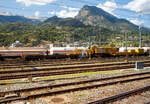 Der Kran IX der Vanomag AG ein 130t GOTTWALD GS 130.10 TS Eisenbahnkran (VTmass 80 85 95 81 702-0 /DB 97 82 54 502 19-5) mit Schutzwagen (80 85 9706 408-4 RID) und Gegengewichtswagen (VTmass 80 85 9806 412-5 Rgs), am 11 Juli 2022 abgestellt in Brig, aufgenommen aus einem fahrenden ICN.

Der Kran wurde 2001 von Gottwald in Düsseldorf unter der Fabriknummer 846 488 gebaut.

Der GS 130.06 TT ist eine Weiterentwicklung des GS 80.08 T. Folgende Verbesserungen wurden vorgenommen, die den Einsatzbereich des Kranes nochmals erweitern: Der Einsatz eines dreiteiligen Auslegers ermöglicht eine wesentliche Erweiterung des Arbeitsbereiches. Durch die kürzere Bauform des Auslegers beginnt der verfügbare Bereich horizontal bereits 3,0 m vor Puffer mit einer Tragfähigkeit von 98,0 t (freistehend 78,0 t). Damit ist er der einzige am Markt verfügbare Gleisbau-Drehkran, der diese, gerade für den Brückenbau, wesentliche Fähigkeit besitzt.

TECHNISCHE DATEN:
Spurweite: 1.435 mm
Anzahl der Achsen: 8 (in 4 Drehgestelle bzw. 2 Doppeldrehgestelle)
Unterwagenlänge über Puffer: 14.000 mm
Breite in Transportstellung: 3.100 mm
Höhe in Transportstellung: 4.250 mm
Drehzapfenabstand: 9.000 mm
Laufkreisdurchmesser der Räder: 730 mm (neu)
Gesamtgewicht  in Transportstellung:116 t (Gegengewicht abgelegt)
Größter Achsdruck in Transportstellung: 14,5 t
Schwenkwinkel des Oberwagens: 30° 
Max. hintere seitlich Ausladung: 2.000 mm
Maximale Ausladung vor Puffer : 18 m
Kleinster befahrbarer Bogenradius: 90 m
Höchstgeschwindigkeit: 25 km/h (eigen) / 100 km/h (geschleppt)

Die Überhöhungsausgleich-Einrichtung stellt den Kran immer waagerecht. Diese neuartige elektro-hydraulische Steuerung arbeitet in Überhöhungen bis zu 180 mm. Somit entfällt die Reduzierung der frei stehenden Tragfähigkeiten.
