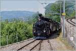 Die BFD HG 3/4 N° 3 der Blonay-Chamby Bahn schiebt in Chamby ihre Zug in Richtung Chaulin.