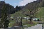 Die BLS Re 4/4 II 504 ist mit einem RE von Interlaken Ost nach Zweisimmen unterwegs und fährt gerade durch den Bahnhof Enge im Simmental.