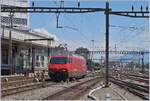 Eine SBB Re 460 in Lausanne in an und für sich keine Seltenheit, eine hier rangierende hingegen ist aber doch nicht so häufig zu beobachten: die SBB Re 460 114-2  Circus KNIE  (UIC 91 85 4