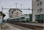 Der BLS RABe 525 026  Nina  nach Summiswald Grnen erreicht Ltzelflh Goldbach.