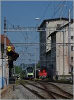 Die zum Teil erst zaghaft zu sehenden BLS Flirt4 RABe 528  Mika  kommen ab dem Fahrplanwechsel auf der Lötschberg Bergstrecke zum Einsatz.