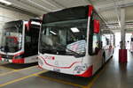 (286'875) - AAGS Schwyz . Nr. 8/SZ 13'808 - Mercedes am 9. Mai 2026 in Ibach, Busdepot