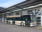 (224'884) - AZZK Zollikon - Nr.