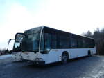 (244'233) - Buchard, Leytron - Nr. 66/VS 216'705 - Mercedes (ex MBC Morges Nr. 71) am 27. Dezember 2022 in Ovronnaz, Lui Teise