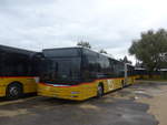 (220'316) - CarPostal Ouest - VD 111'241 - MAN am 30.