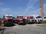 (266'406) - Dysli, Bern - Nr. 1/BE 3549 U - Berna + Nr. 2/BE 1467 U - Saurer + BE 2889 U - Saurer + Nr. 11/BE 3310 U - Saurer am 31. August 2024 in Oberkirch, CAMPUS Sursee