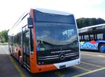 (263'701) - Globe-Limo, Le Lignon - Nr.