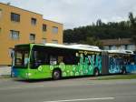 (135'403) - STI Thun (Testbus) - BS 59'327 - Mercedes am 6.