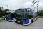(280'840) - TL Lausanne - Nr. 889 - Hess/Hess Gelenktrolleybus am 28. September 2025 in Kerzers, Murtenstrasse (280'840) - TL Lausanne - Nr. 889 - Hess/Hess Gelenktrolleybus am 28. September 2025 in Kerzers, Murtenstrasse