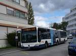 (267'914) - TPG Genve - Nr. 111/GE 960'495 - Mercedes am 10. Oktober 2024 in Vernier, Barde