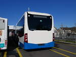 (259'082) - VBL Luzern - (143'941) - eMercedes am 3.