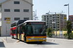 (278'893) - Wieland, Murten - Nr. 52/FR 300'635/PID 5205 - Setra am 15. August 2025 beim Bahnhof Ddingen