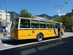 (237'157) - Wittwer, Chur - GR 16'004 - FBW/Gangloff (ex Eggenberger, Mriken; ex AVG Grindelwald Nr.