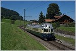 Der  Blaue Pfeil  der BLS, der BCFe 4/6 736 als Regionalzug von Spiez nach Interlaken in Faulensee.