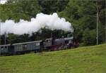 Fahrtag im Zürcher Oberland. 

Eb 3/5 der BT kämpft im Weidli bei Bauma mit der Rampe nach Neuthal. Juli 2023.

Man beachte auch die satte Dampfentwicklung bei fast 25°C im Juli...