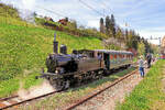 Das Unvorstellbare ist Wirklichkeit geworden: Die Station Wasen im Emmental ist zu neuem Leben erwacht und wird heute von Museumszügen des Vereins Historische Eisenbahn Emmental angefahren, hier