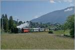50 Jahre Blonay - Chamby; Mega Steam Festival: Zwischen St Légier Gare und Château d'Hauteville ist der Blonay - Chamby Dampfzug  Riviera Belle Epoque  auf der Fahrt nach Vevey.