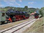 30 ANS CONI'FER /30 Jahre Coni'Fer - Mitten im Jura, auf gut 1000 müM, 467 km von Paris (und ca 400 von Milano) entfernt kreuzen sich in der kleinen Landstation Le Touillon zwei Züge.