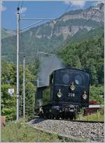 Die schöne SBB Brünig Bahn Tallok G 3/4 208 der Ballenberg Dampfbahn auch von der Tenderseite her einen gewissen Charme, hier auf der Fahrt nach Meiringen kurz nach der Abfahrt in Brienz.