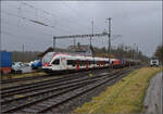 Schlechtwetter und ein Baustellendrama bei Frick. 

Am 843 093 wartet mit einigen Kesselwagen in Sisseln zwei Gegenzüge ab. Nachdem eine rote Am 843 mit einigen Bauwagen und einer Am 841 gekreuzt war, die ich nicht mehr erwischt habe, mussten noch die beiden Flirts RAB e523 011 und RABe 521 014 (im Bild) abgewartet werden. Februar 2026.