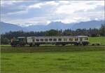 Fahrtag Wolfhuuser Bahn.

In der Wiese beim Ritterhaus Bubikon sei ein näherer Blick auf den Tm 2/2 111 und den ABt der Wolfhuuser Bahn gestattet. Für Velotransporte gibt es noch einen kleinen  Beistellwagen . Oktober 2021.