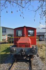 Spitzmaus auf Reisen.