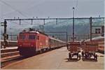 Die SBB Re 4/4 IV 10103 erreicht mit ihrem Nacht-Schnellzug Roma - Brig - Genève/Bern den Bahnhof Brig.