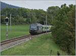 Die BLS Re 465 005 ist bei Les Geneveys sur Coffrane mit ihrem EW III RE auf dem Weg nach La Chaux de Fonds.