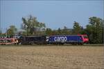 Re 474 017 und 193 656 bei Langenthal. Oktober 2023.