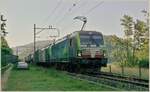 Die BLS Re 475 412 und eine weitere fahren im Schatten mit einem via Alte Hauensteinlinie umgeleiteten Güterzug Richtung Sissach.