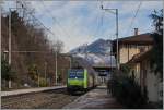 Gleich drei BLS Re 482 fahren mit einer RoLa durch Preglia Richtung Süden.