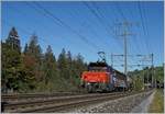 Der SBB Cargo Eem 923 003-8 mit einem kurzen Güterzug bei Mülenen.
