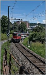 Die SBB Re 4/4 II 11135 mit ein IR nach Zürich bei Neuhausen am Rheinfall.