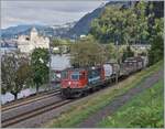  Wartung mit Durchblick  verkündigt die Werbung auf der Seitenwand der SBB Re 4/4 II 11256 (Re 420 256-0), was bei dem langen Leben der ab 1964 gebauten Lokbaureihe Re 4/4 II wohl stimmen mag...
Der kurze Güterzug ist bei Villeneuve auf dem Weg in Richtung Wallis. 

6. Sept. 2024