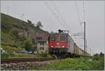 Bei Ligerz auf dem letzten, kurzen noch verbliebenen Einspurabschnitt der Jurasüdfuss Strecke ist die SBB Re 4/4 II 11275 (Re 420 275-0) auf dem Weg in Richtung Neuchâtel. 

8. OKt. 2025